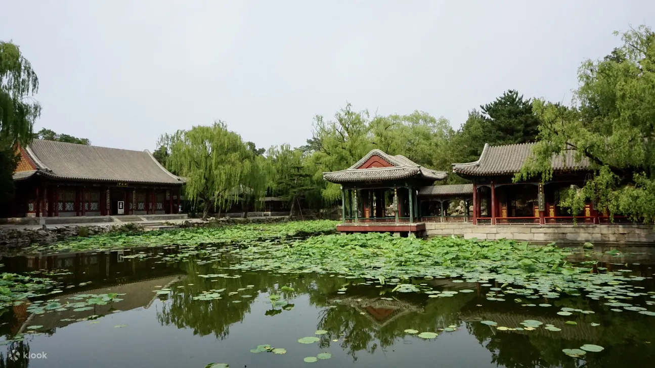 颐和园游学