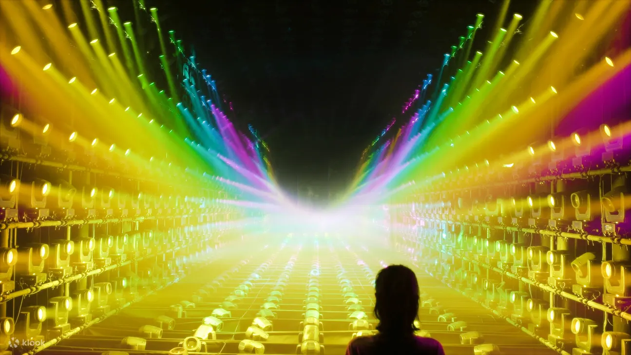 teamLab 无界美术馆《光之雕刻》