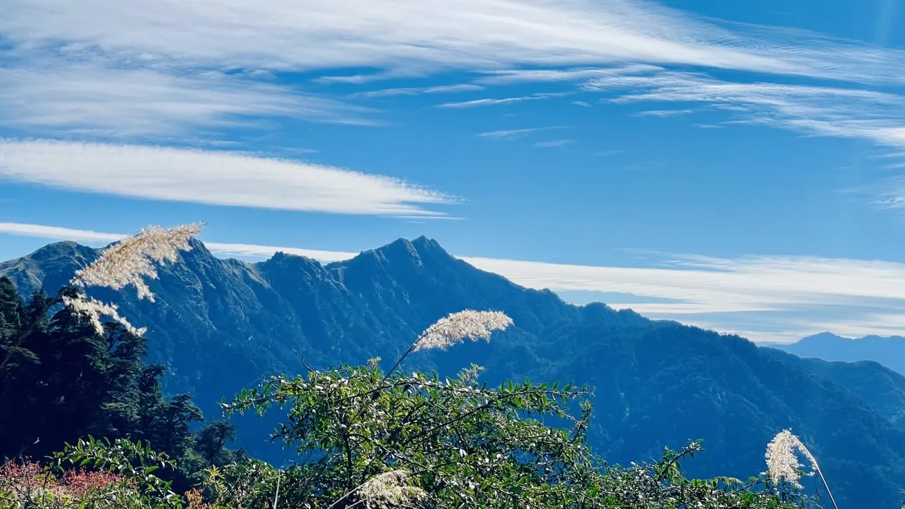 登山包车接驳: 奇莱南华登山口 (台北/新竹/台中出发)