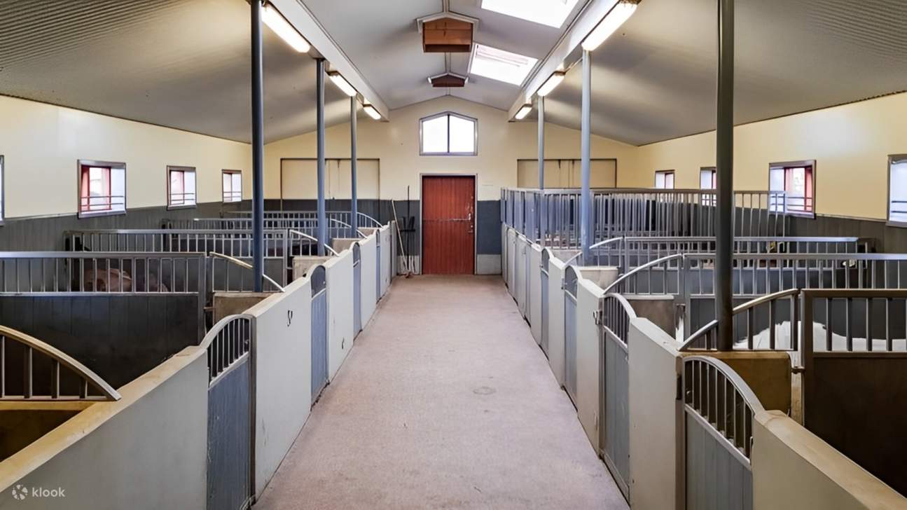 Là où la journée commence et se termine : des écuries propres et confortables conçues pour des chevaux heureux et bien soignés