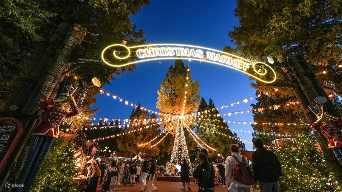 Билет в тематический парк Seoul Land