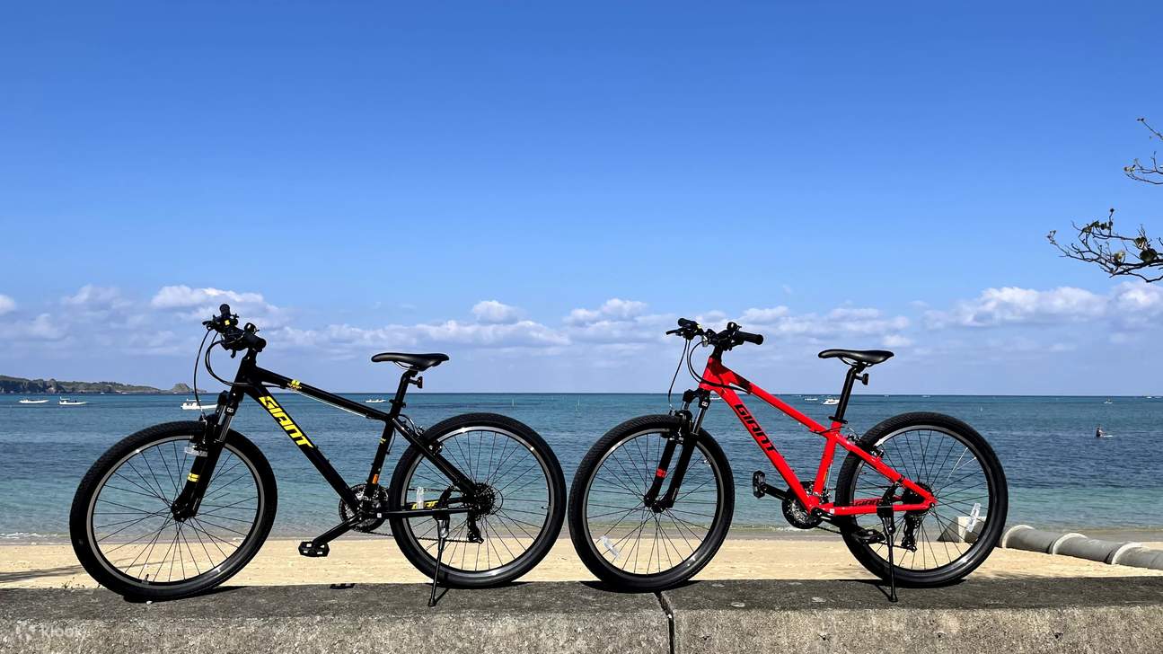 Cross discount bike mtb