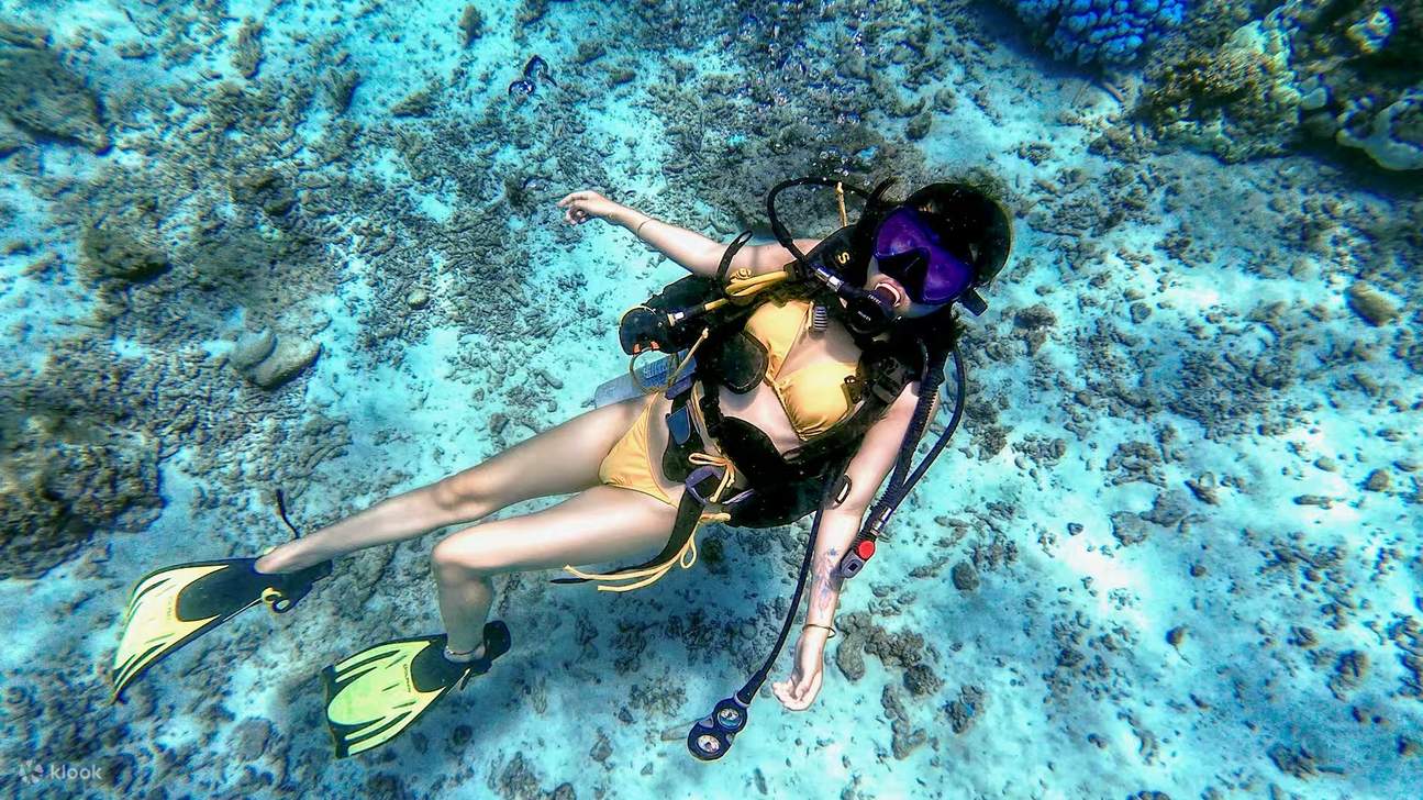 Gita giornaliera di immersioni subacquee alle isole Racha Yai e Racha Noi a Phuket 