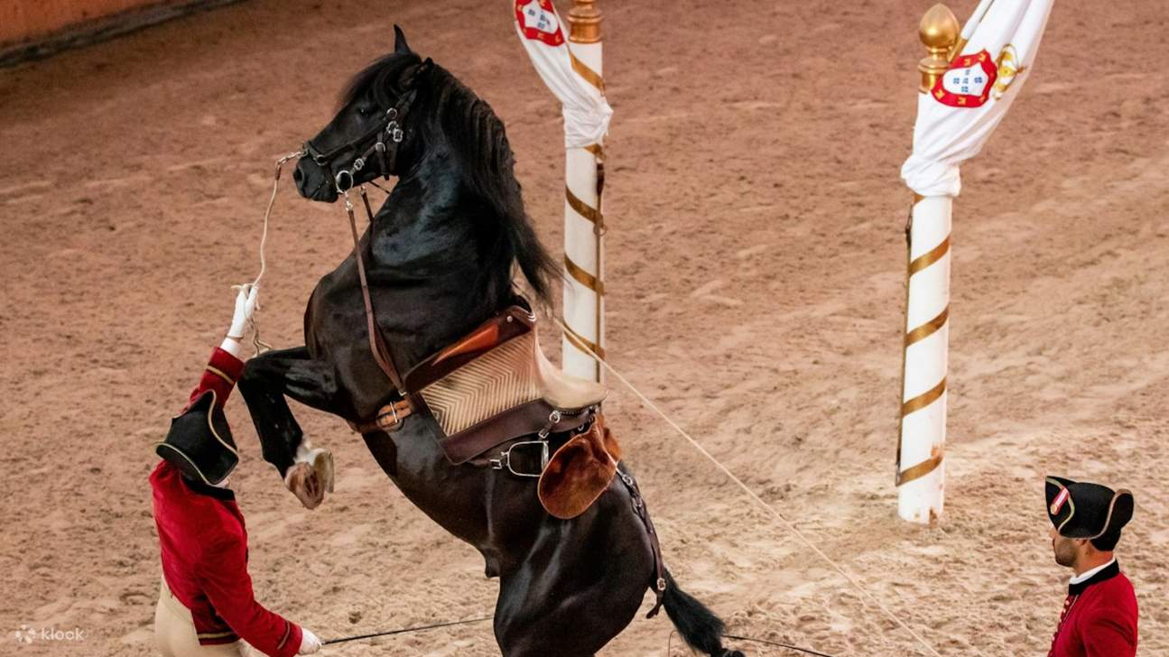 すべての動きは、鍛錬と相互の信頼によって培われた深い伝統を物語ります。