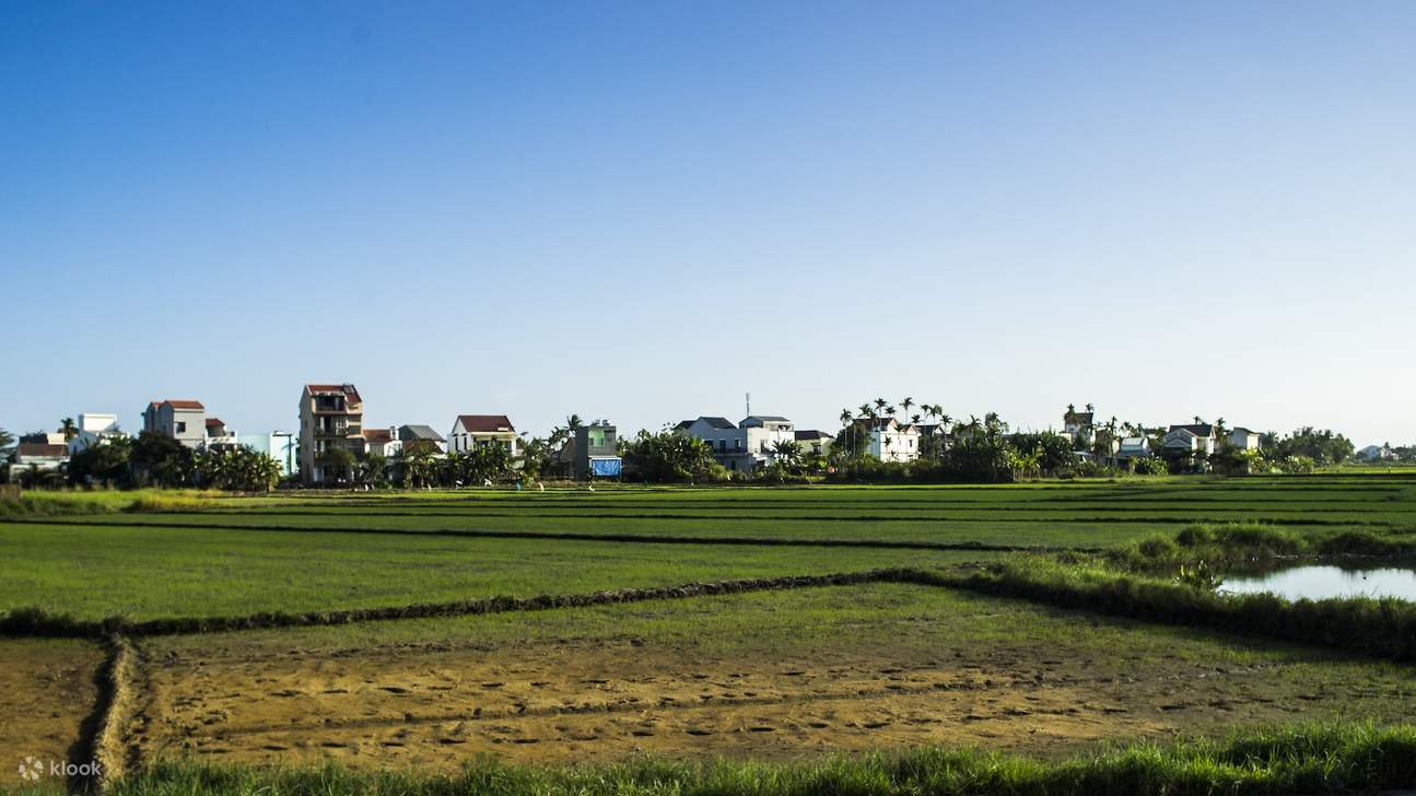 ประสบการณ์การทำอาหารร่วมสมัยในฮอยอัน