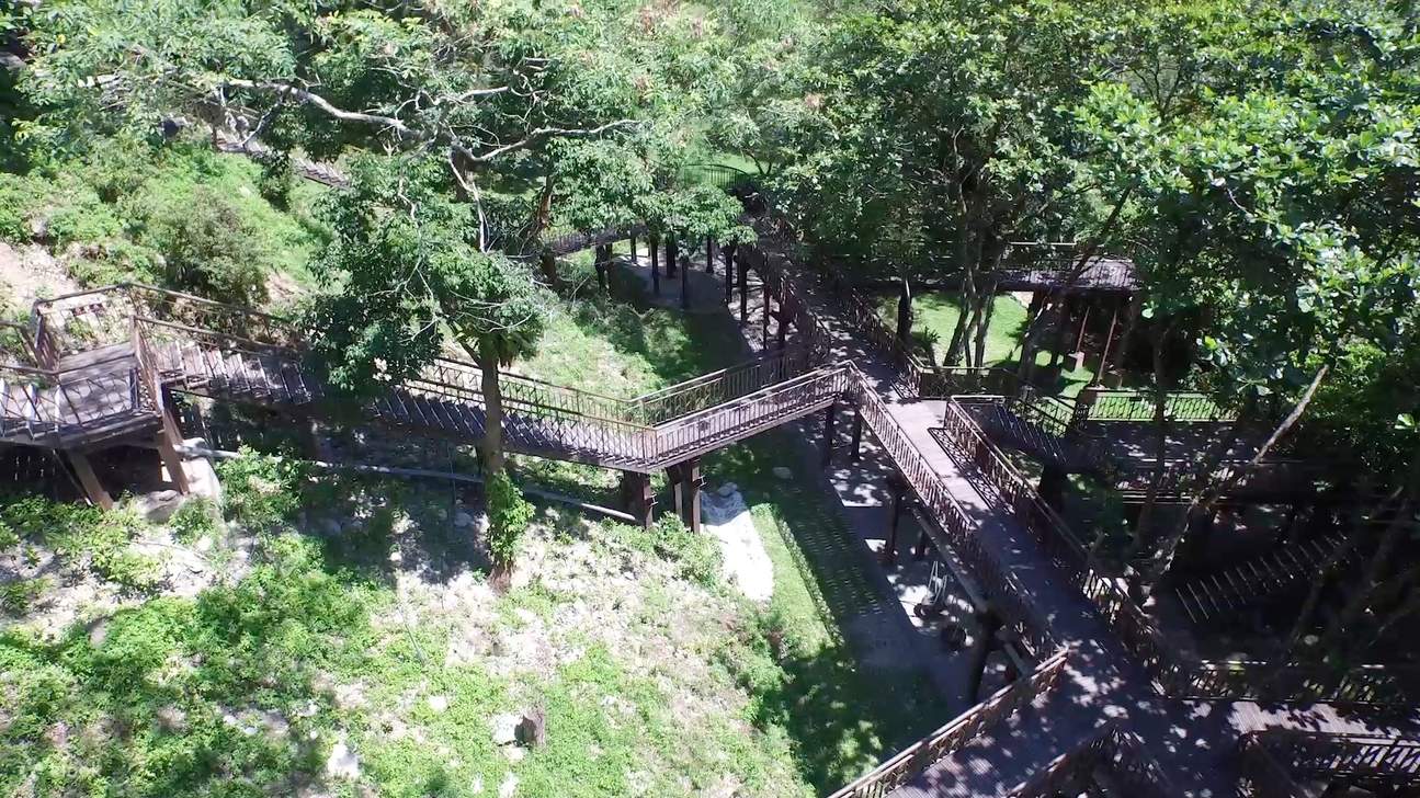 지번 삼림 공원