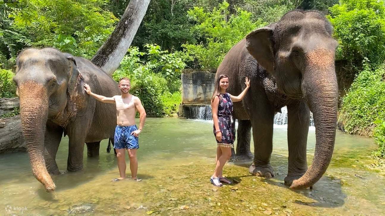 Тур на полдня в Krabi Elephant Care House Experience
