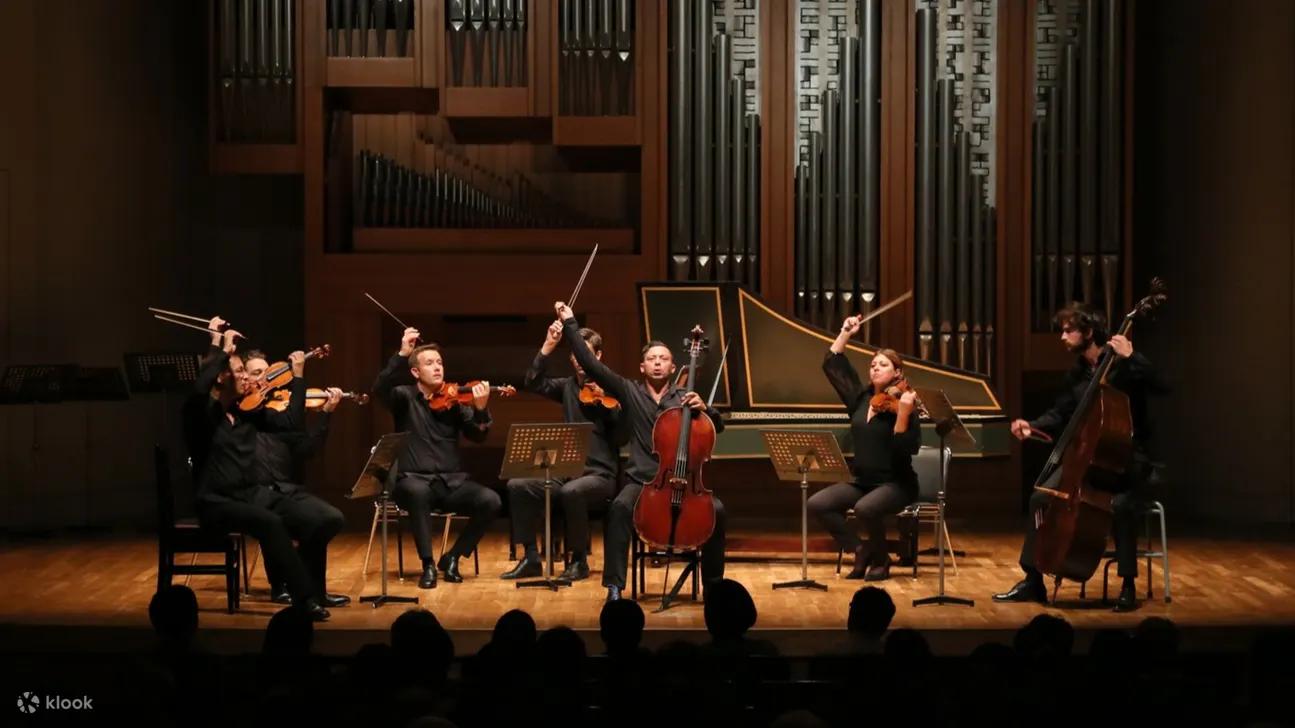 音乐家们在令人惊叹的场地中倾情演奏，为您打造难忘的体验。