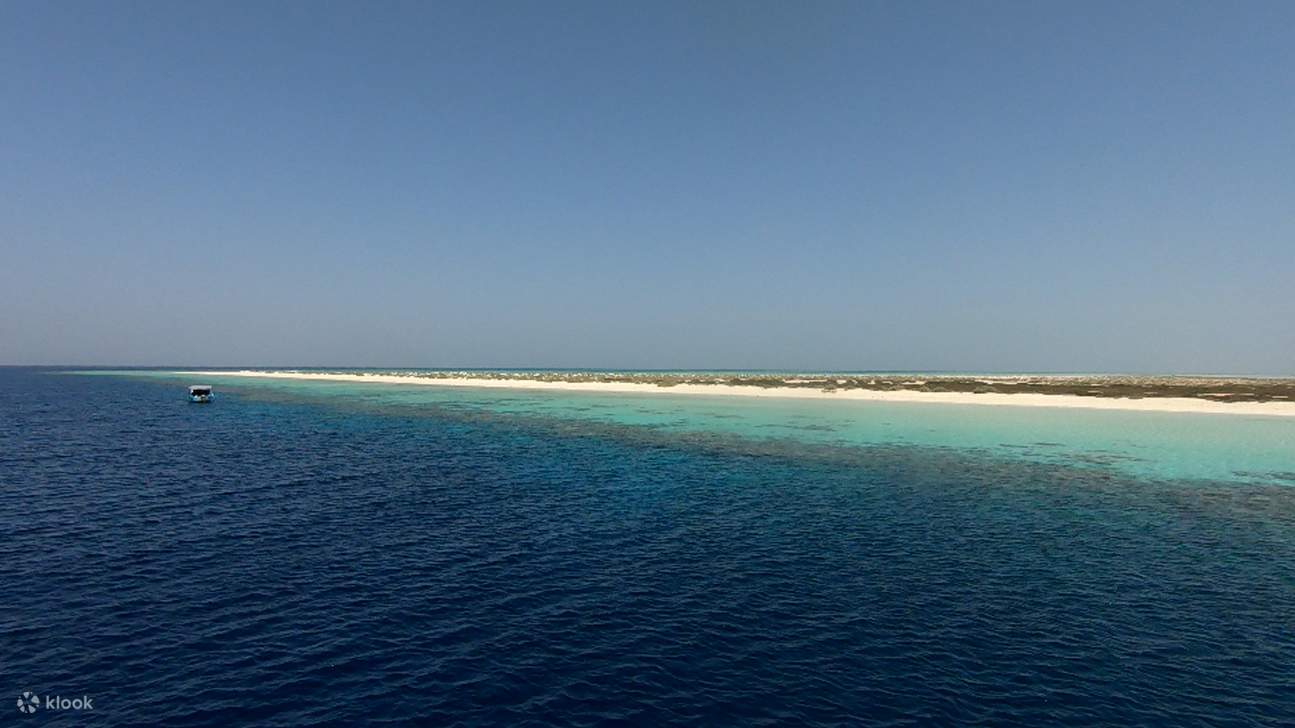 Excursión de esnórquel a Marsa Mubarak con traslado y almuerzo – Marsa Alam