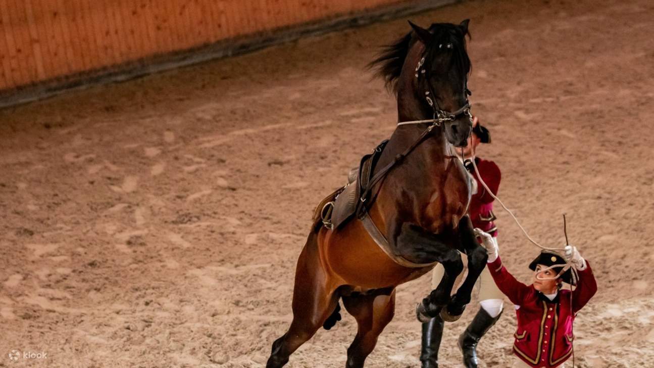 トレーニングと伝統が織りなすハーモニーを目の当たりに