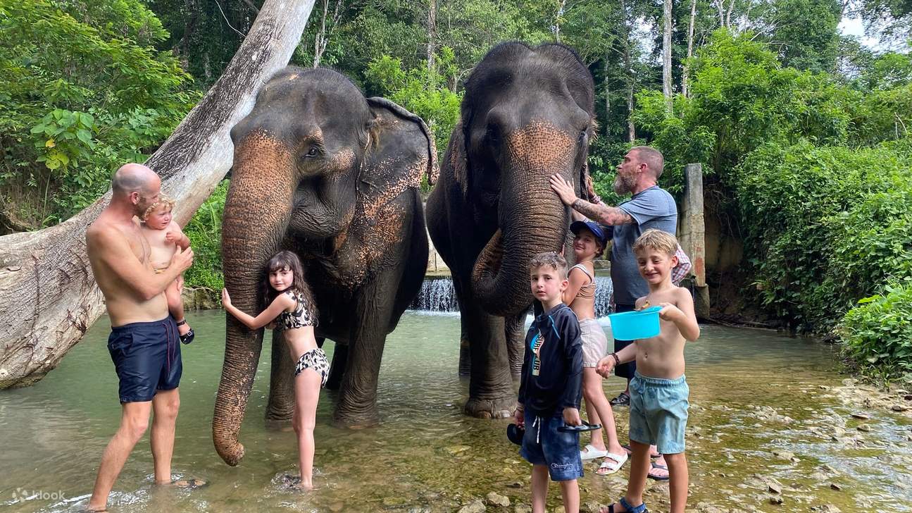 Lawatan Separuh Hari ke Krabi Elephant Care House & Berenang di Air Terjun Huay To