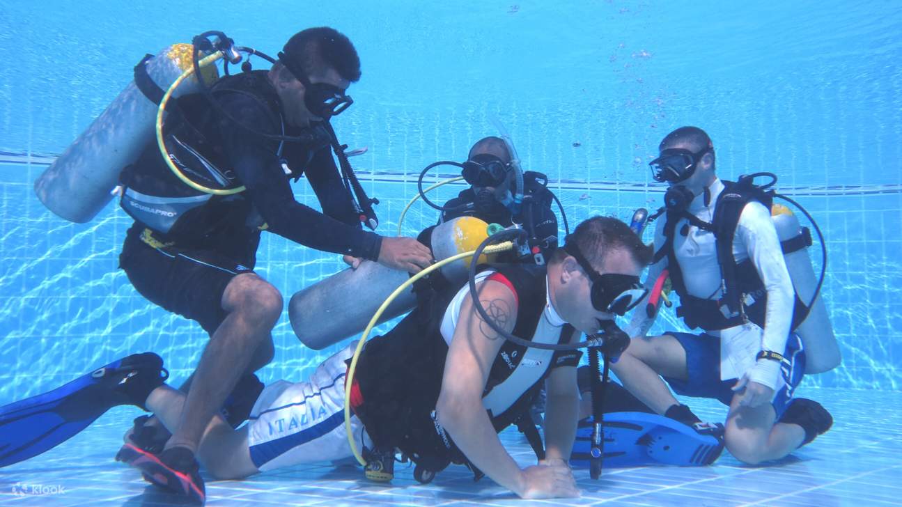 Dive into the PADI Open Water Diver Course in Sharm ElSheikh with a