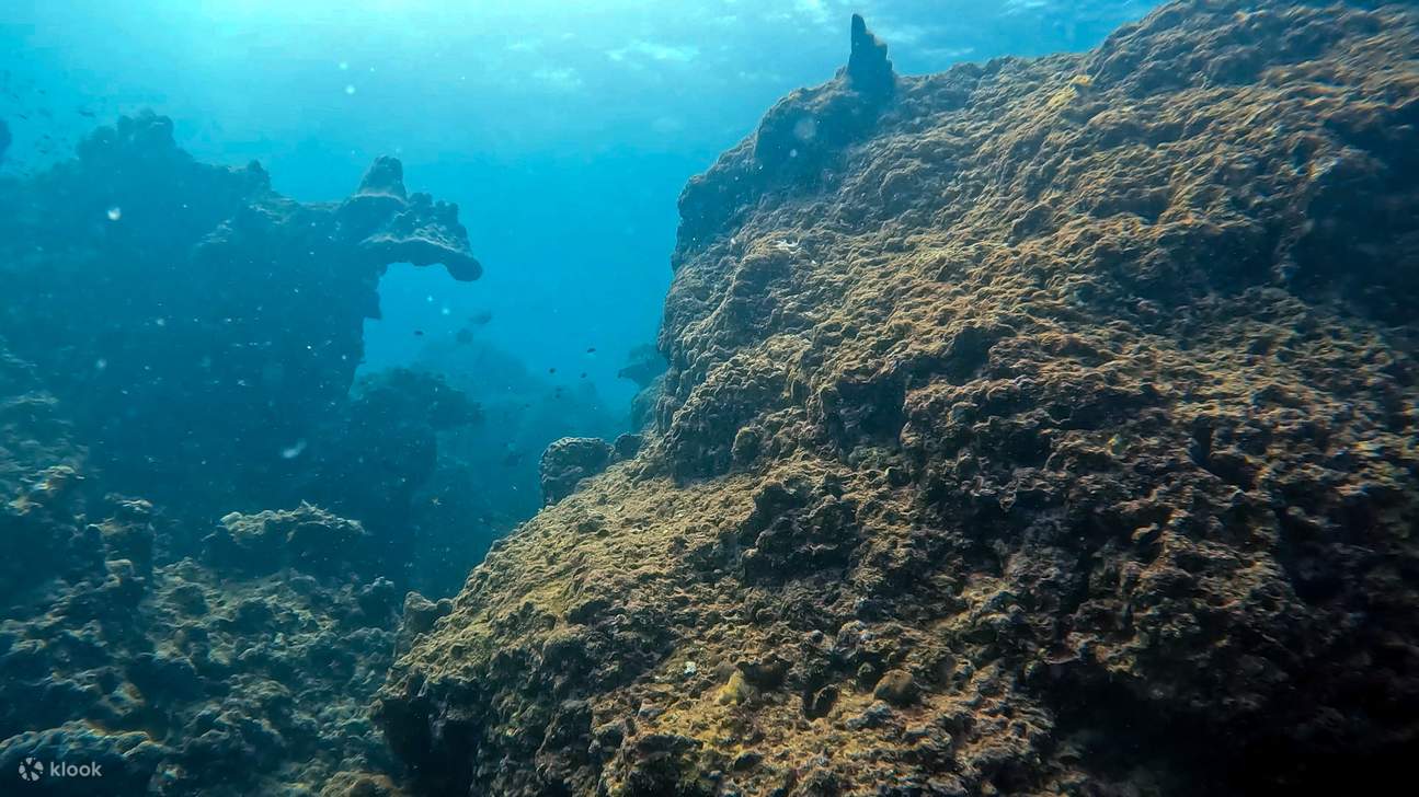 MANIGLIA PER IMMERSIONI subacquee facile da usare per primo stadio
