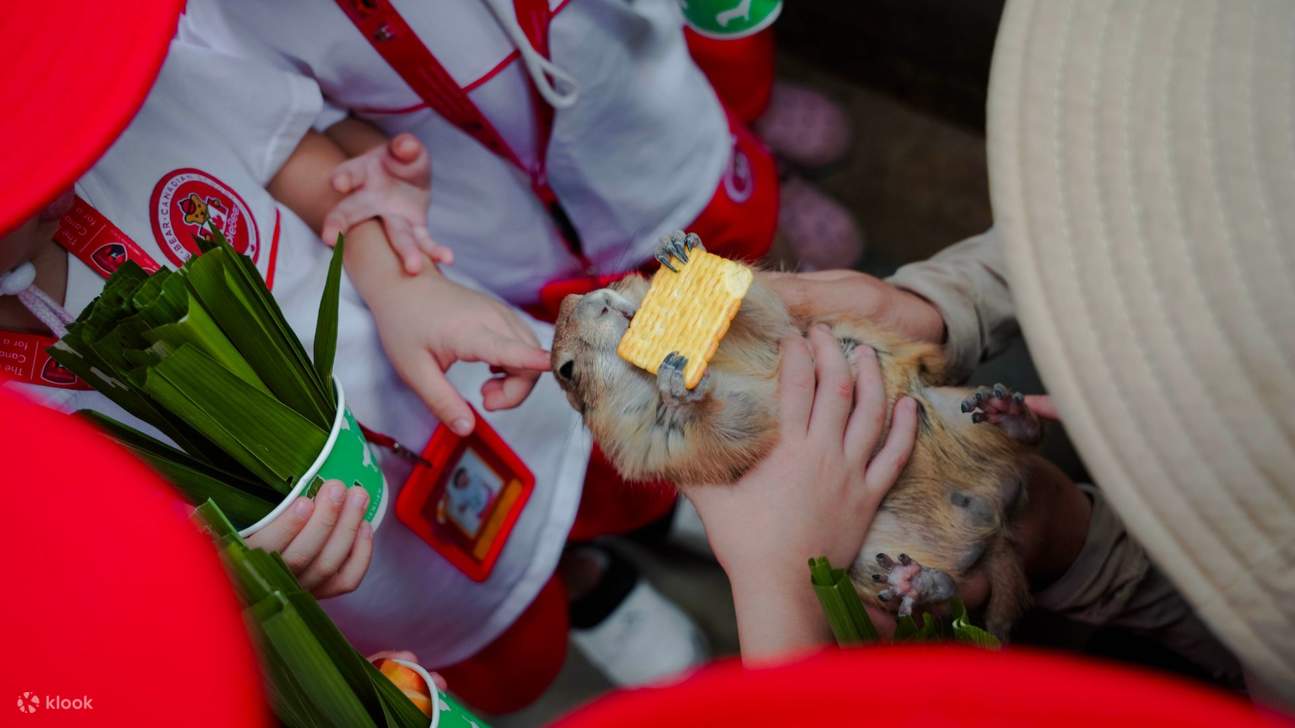 บัตรเข้าชมเทียนเถียนฟาร์ม แอนด์ ซู (Tien Tien Farm & Zoo) ในฟานซาง 