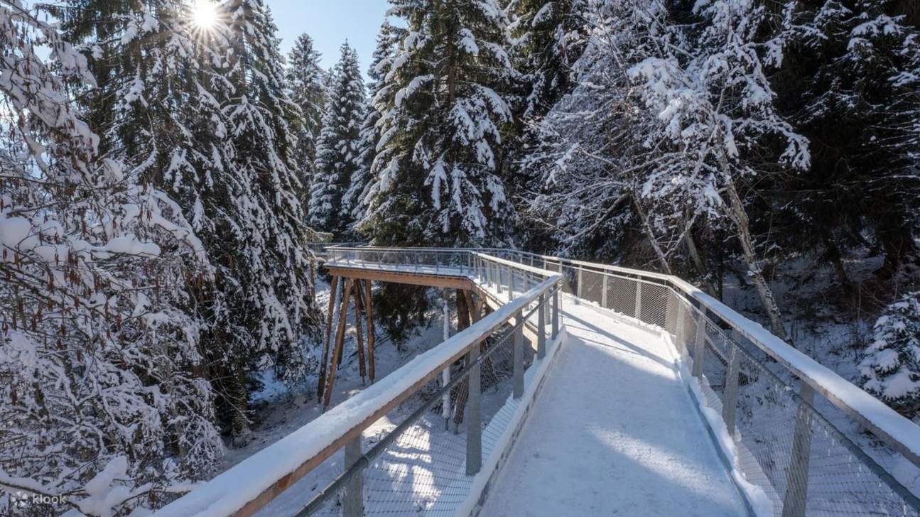 Biglietto per la passerella sugli alberi in Svizzera