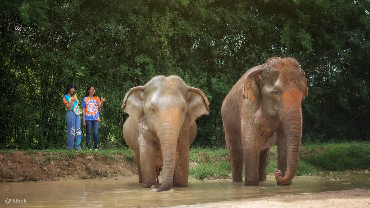 Witness the Majesty of the Herd