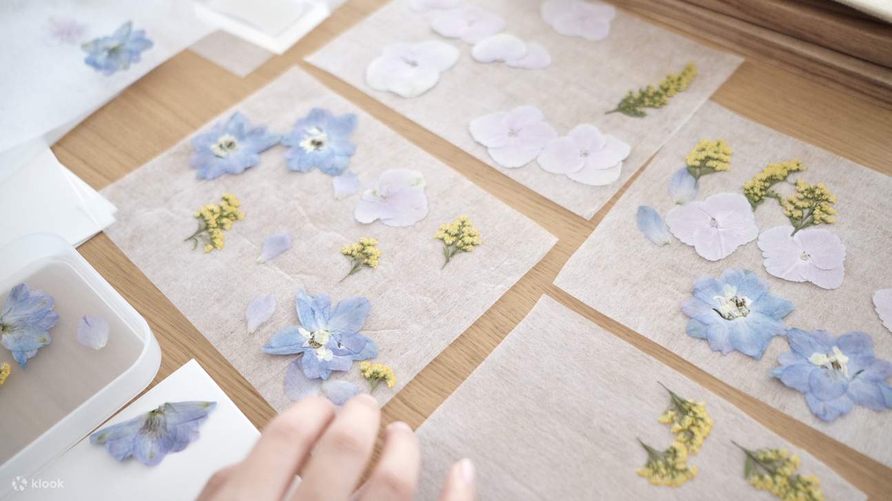 Suet Fleur 乾燥花材押花班 乾花 新蒲崗 Klook香港