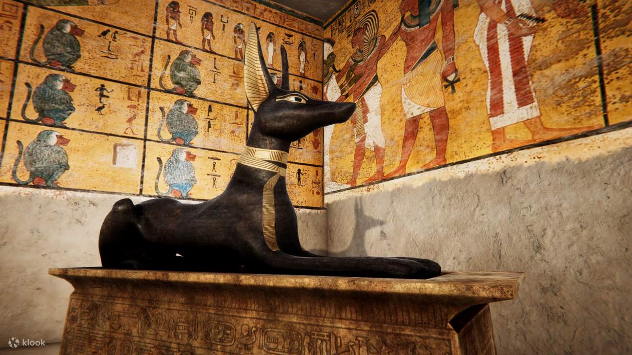 博洛尼亚时光机器博物馆门票