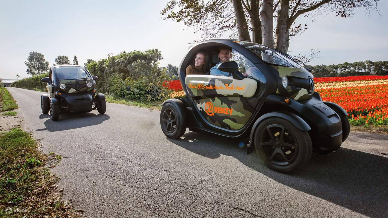 Campagna olandese e fiori