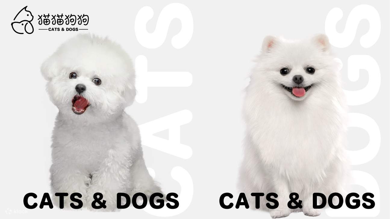 DX-PARK 2.0·地心公園