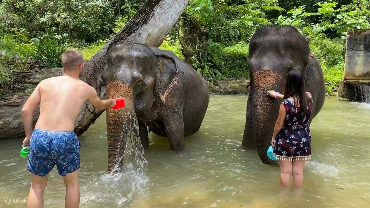ทัวร์ครึ่งวันสู่ Krabi Elephant Care House