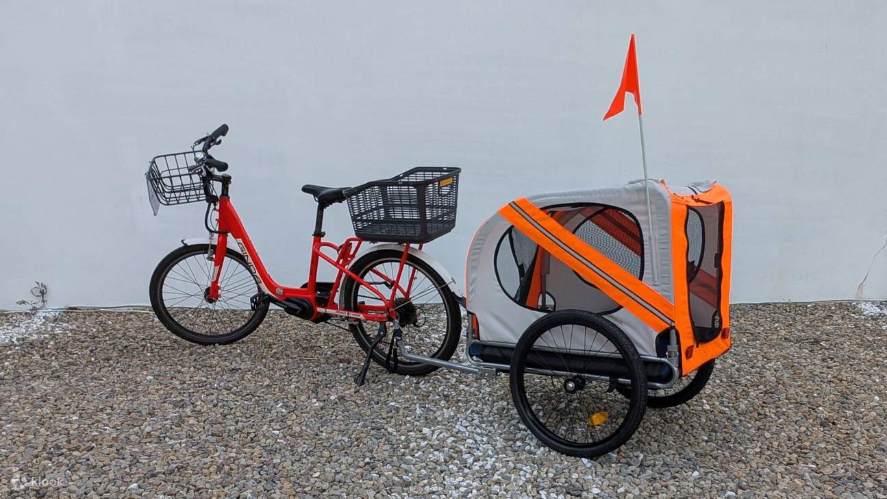 南投｜捷安特自行车一日租借券＆船票