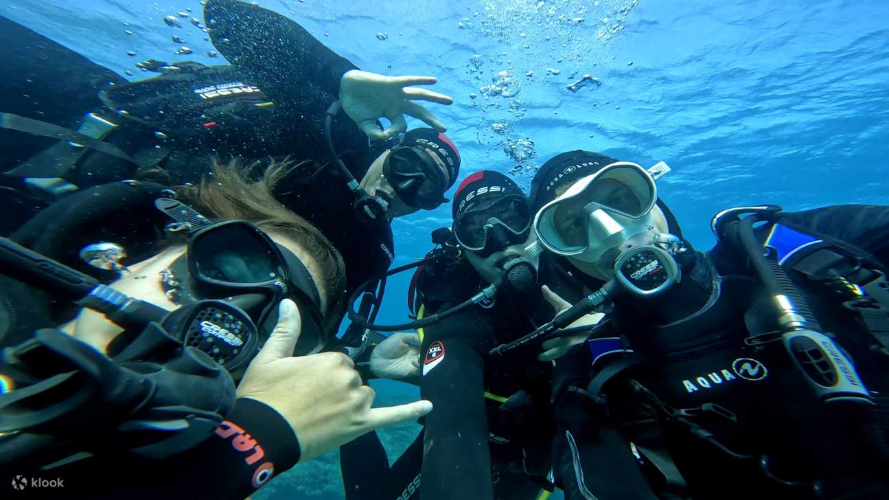 ทริปดำน้ำครึ่งวัน