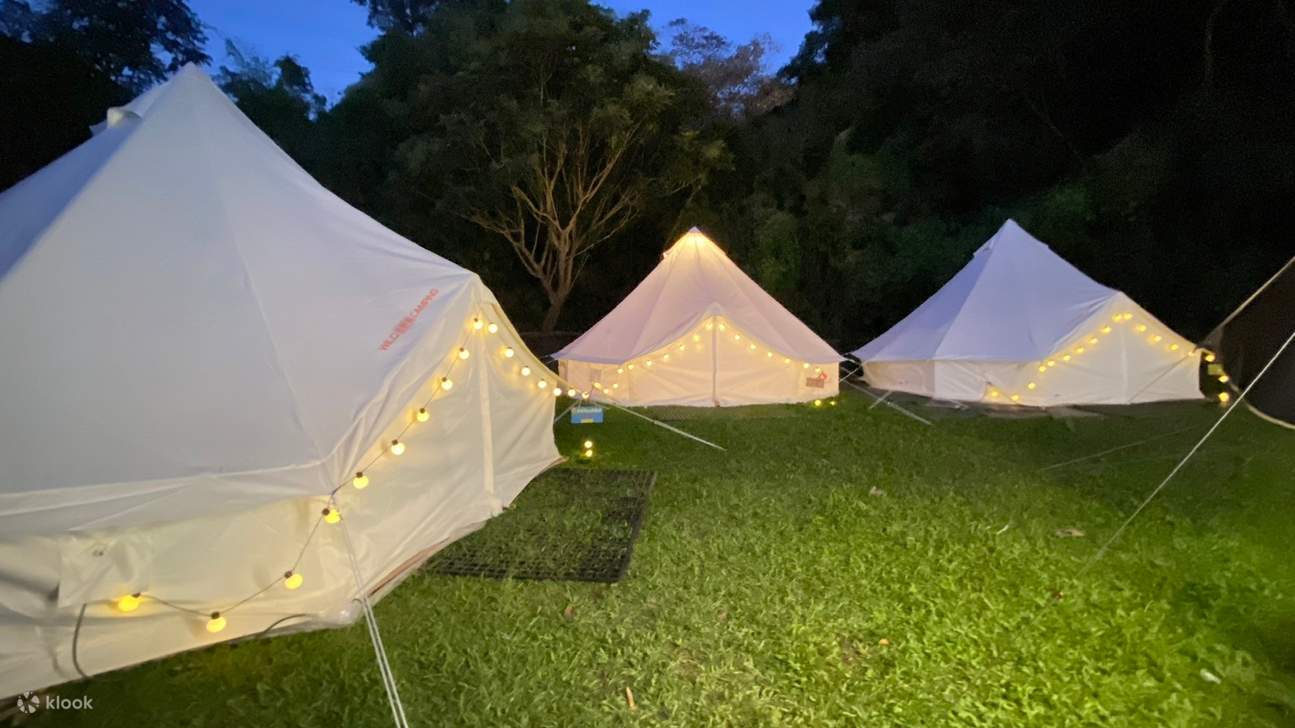 เถาหยวน: Tea Field 里山野露營