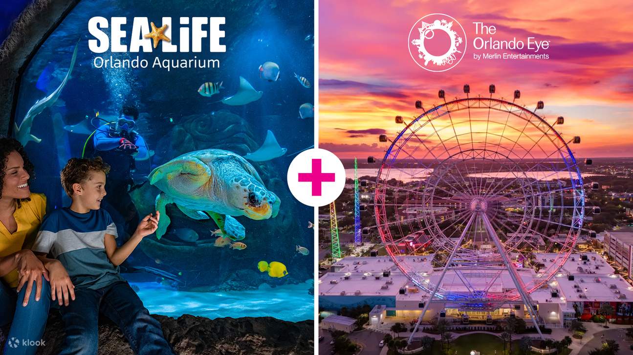 Berinteraksi dengan tapak sulaiman, anemone laut, dan hidupan laut yang menarik lainnya setelah menikmati pemandangan kota