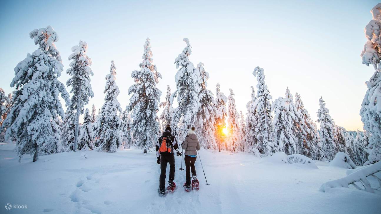 在專業指導下，使用優質雪鞋裝備，探索未受破壞的北極森林