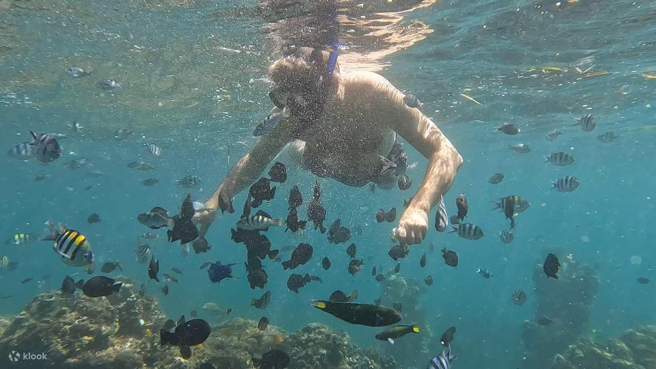 沙努爾沿海浮潛體驗