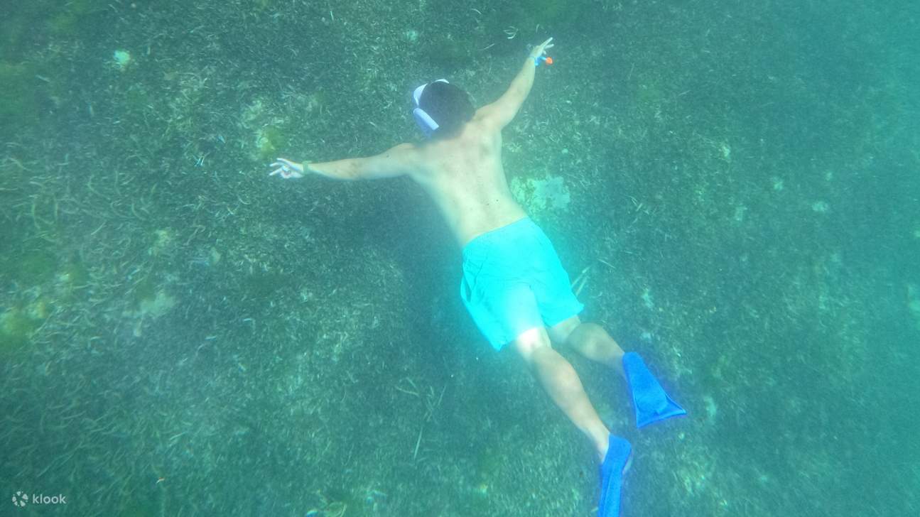 沙努爾沿海浮潛體驗