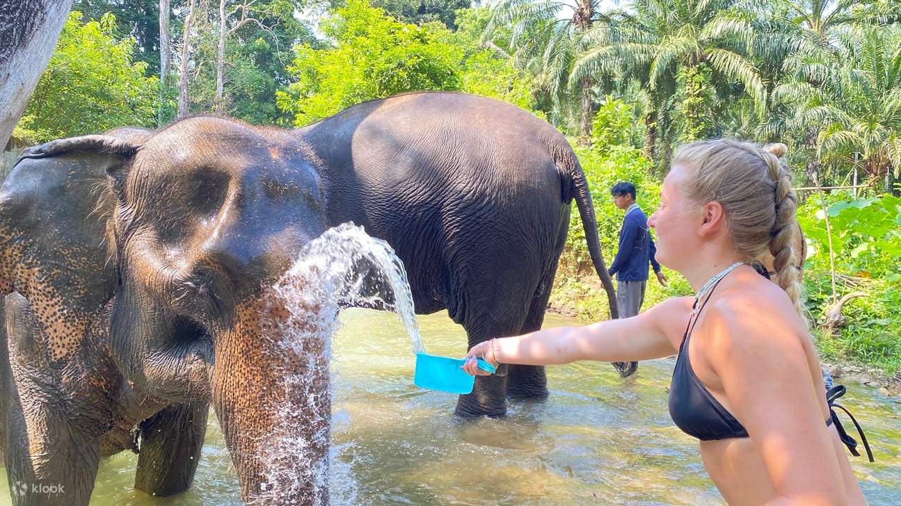 Lawatan Separuh Hari ke Krabi Elephant Care House & Berenang di Air Terjun Huay To