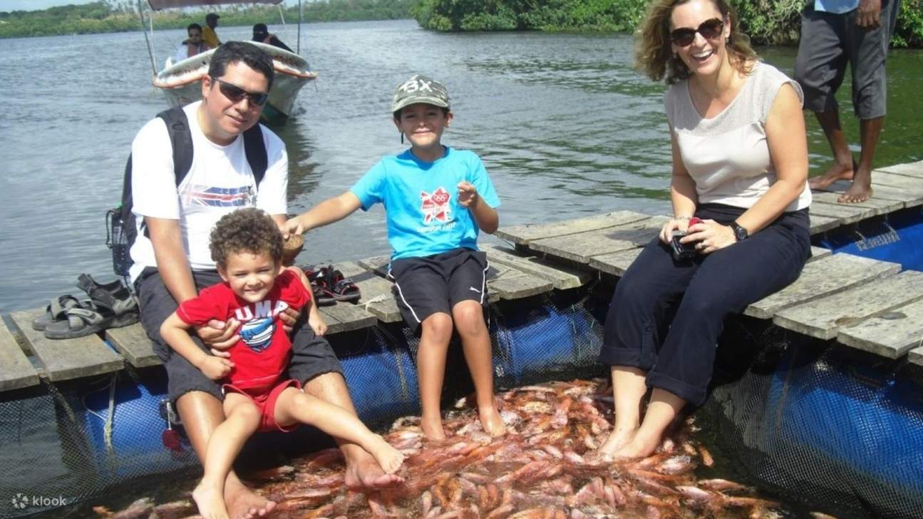 spa aux poissons lors d'un safari sur la rivière des mangroves de bentota