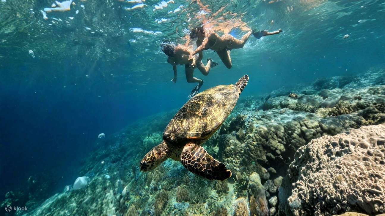Privat snorkletur til hemmelige øyer på Lombok med GoPro