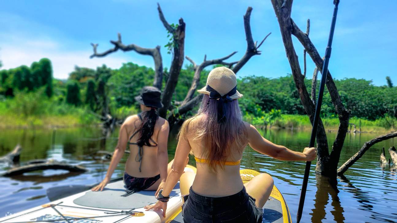 Dos chicas están practicando paddle surf.