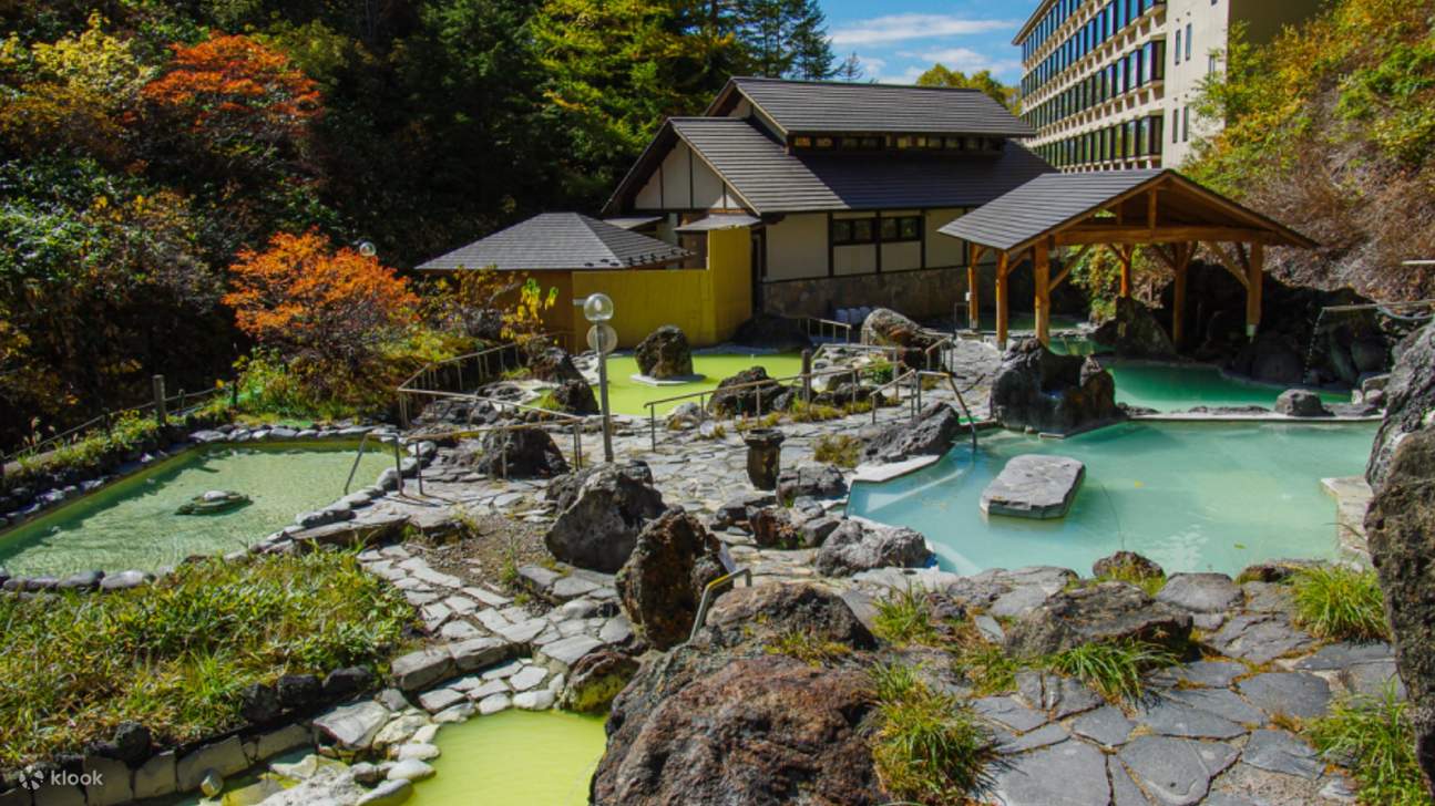 Karuizawa Maple Falls and Wild Monkey Hot Springs 2-Day Tour (Enjoy ...