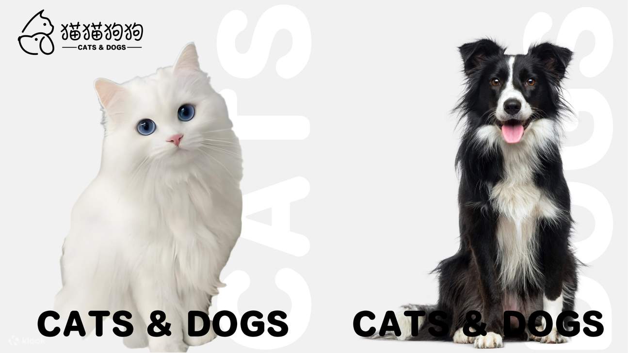 DX-PARK 2.0·地心公園