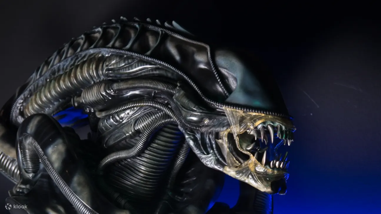 步入奇幻世界，感受天马行空的想象力与电影艺术的碰撞