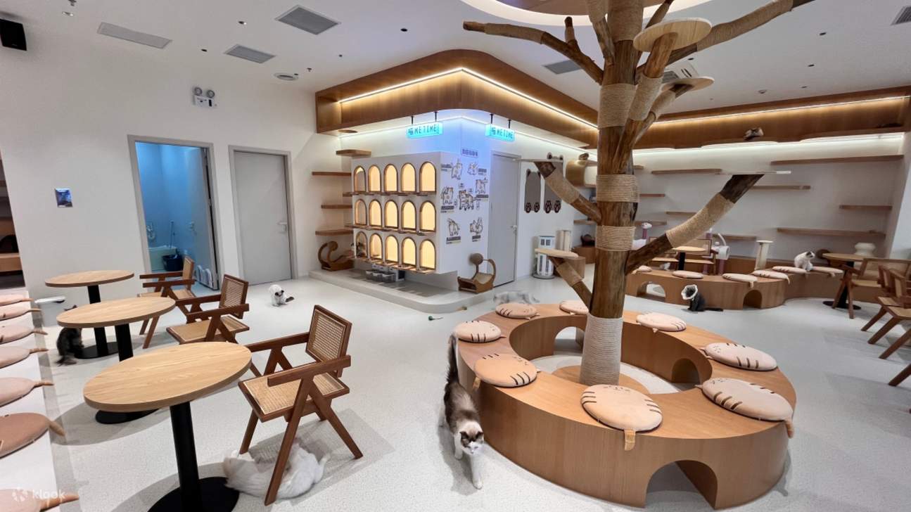 DX-PARK 2.0·地心公園