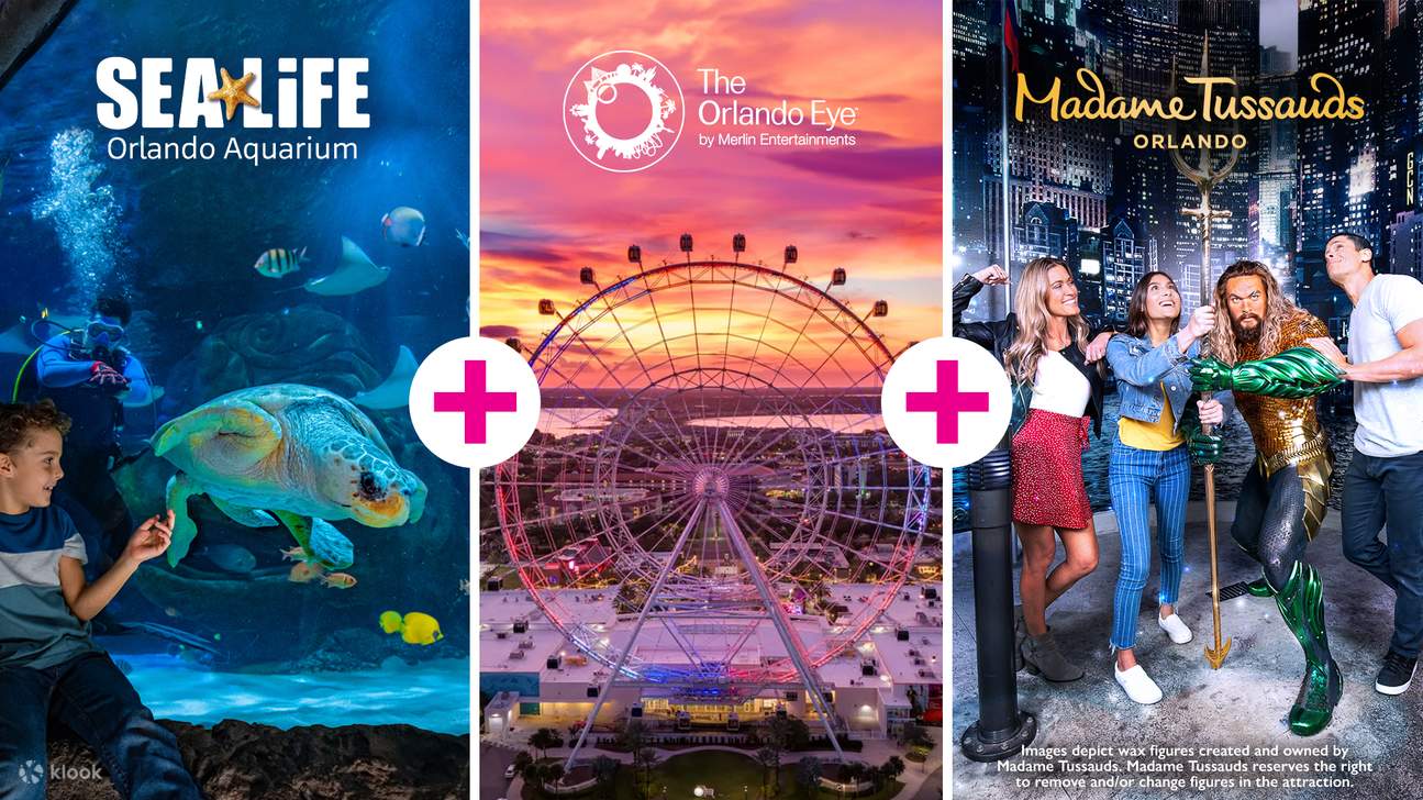 使用此套票，您可以在一天內體驗杜莎夫人蠟像館、海洋生物水族館和奧蘭多之眼（The Orlando Eye）