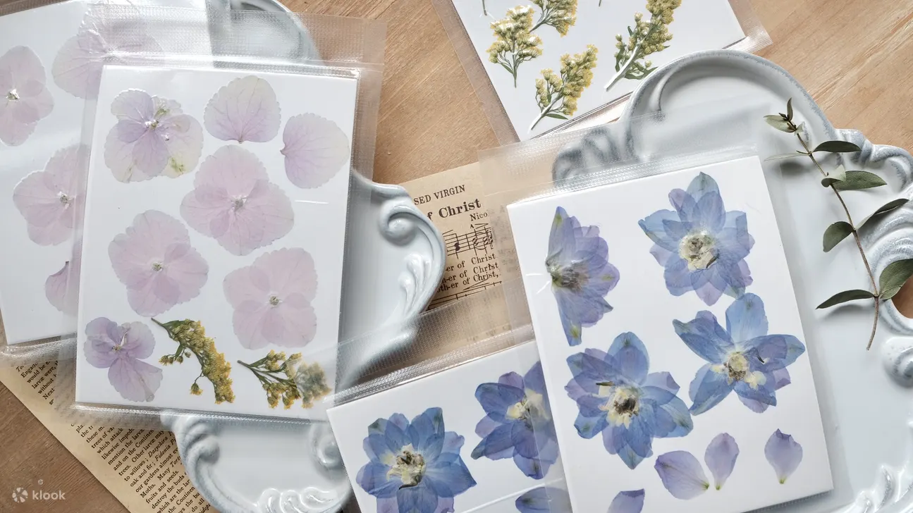 Suet.Fleur, 押花班, 押花