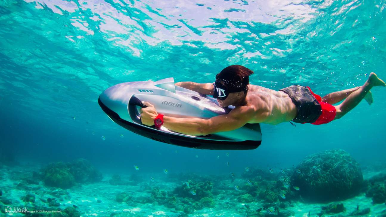 Wassersport-Erlebnis in Dubai von Seamocean