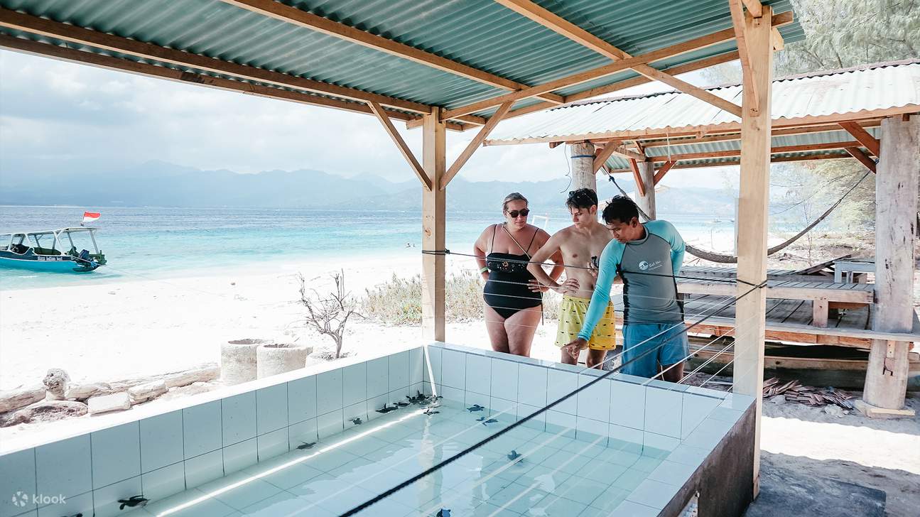 Gili Islands BBQ Cruise Tour mit Gili Hai ab Gili Trawangan