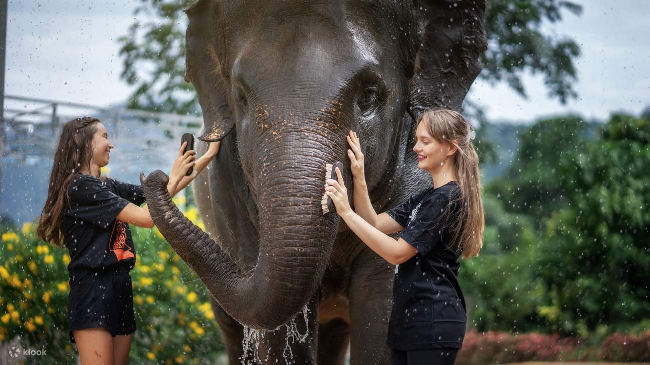 A Fun Group Activity: The Elephant Shower