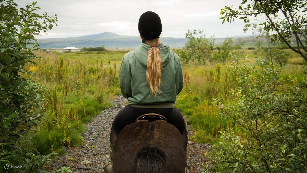 Chevauchez à travers la nature sauvage et sereine de l'Islande, où la nature et la liberté se rencontrent sur chaque sentier.