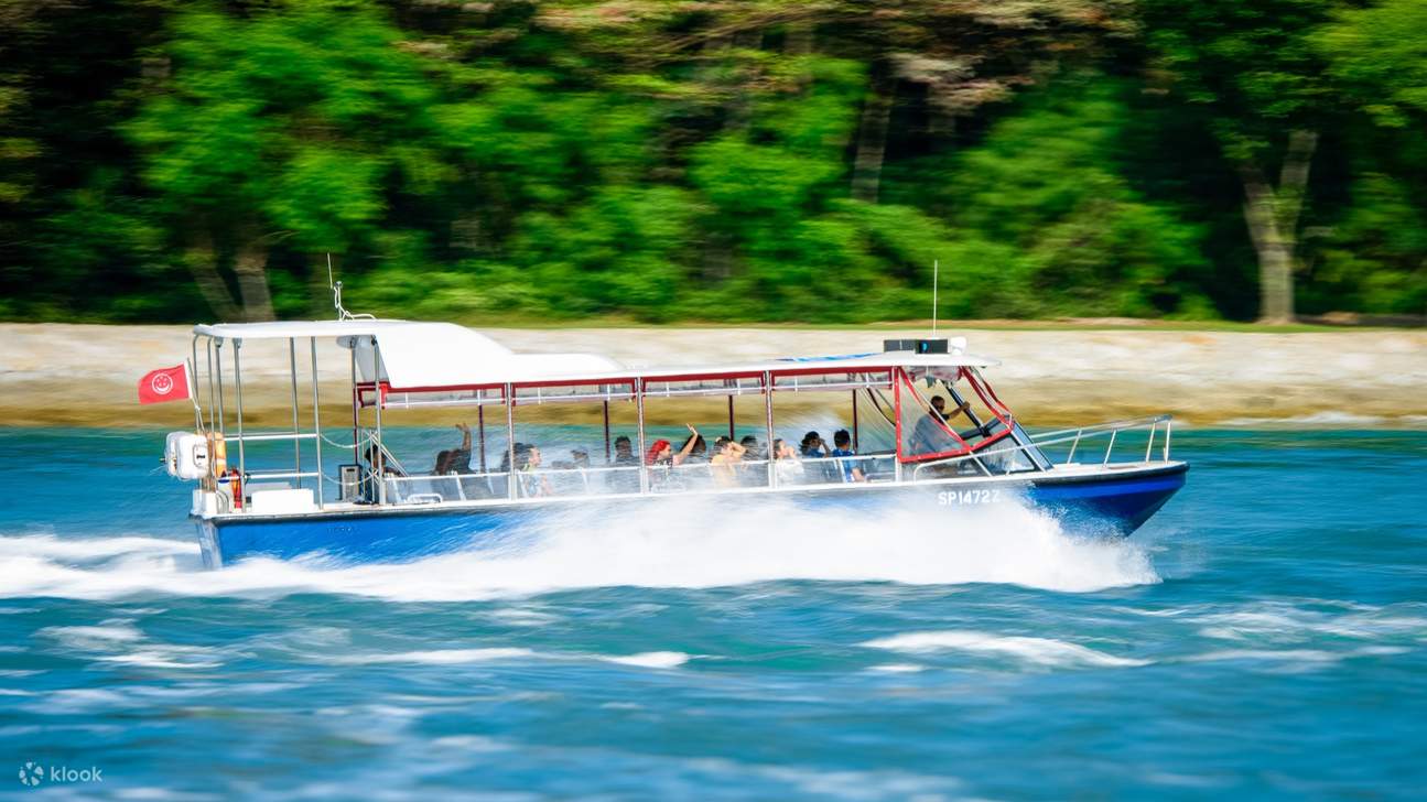 Aventure en hors-bord à Singapour sur le Southern Albatross