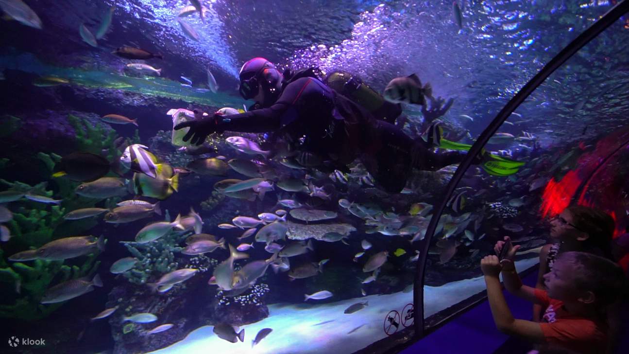 Tiket Masuk Antalya Aquarium dan Wax Museum