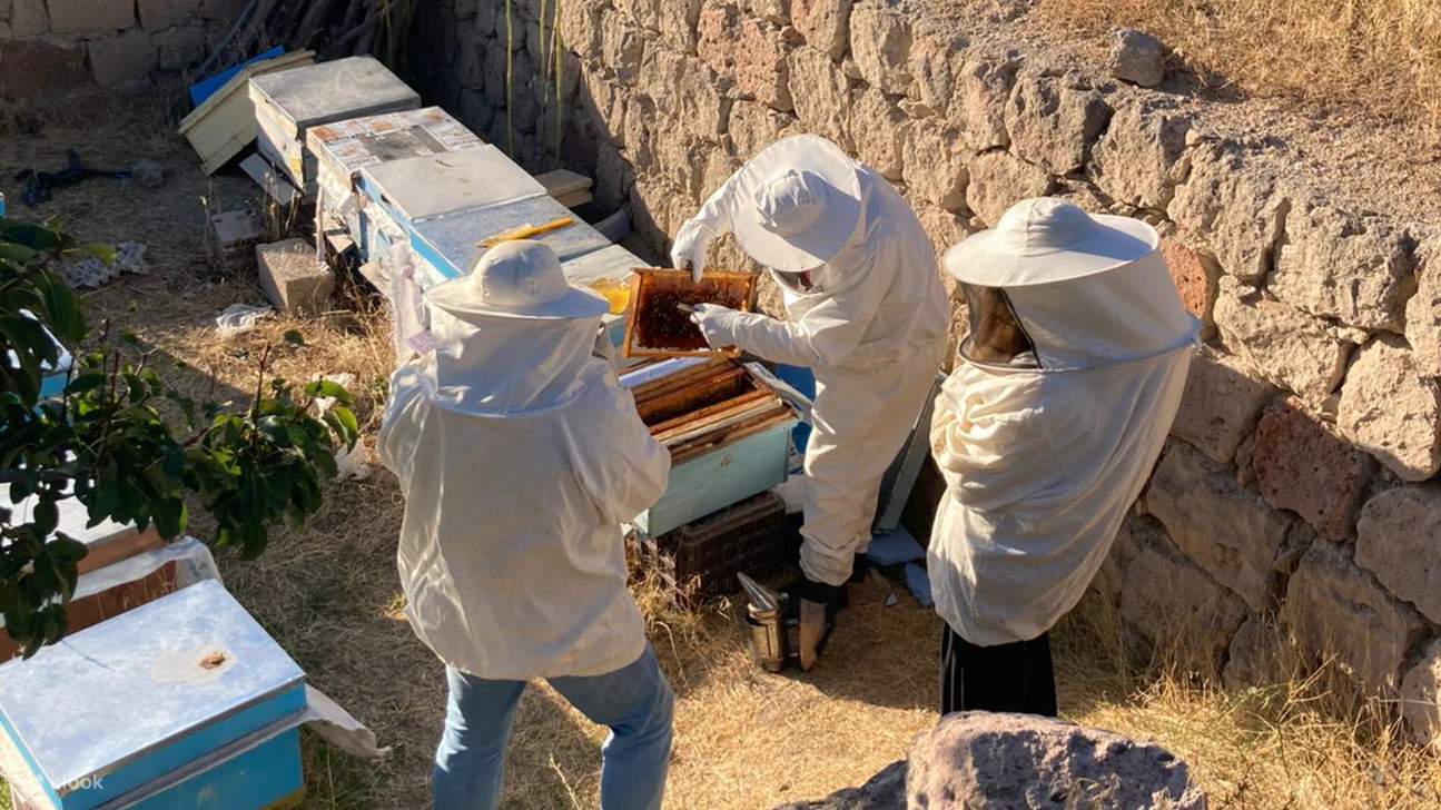 養蜂体験の後は、甘いご褒美をお楽しみください