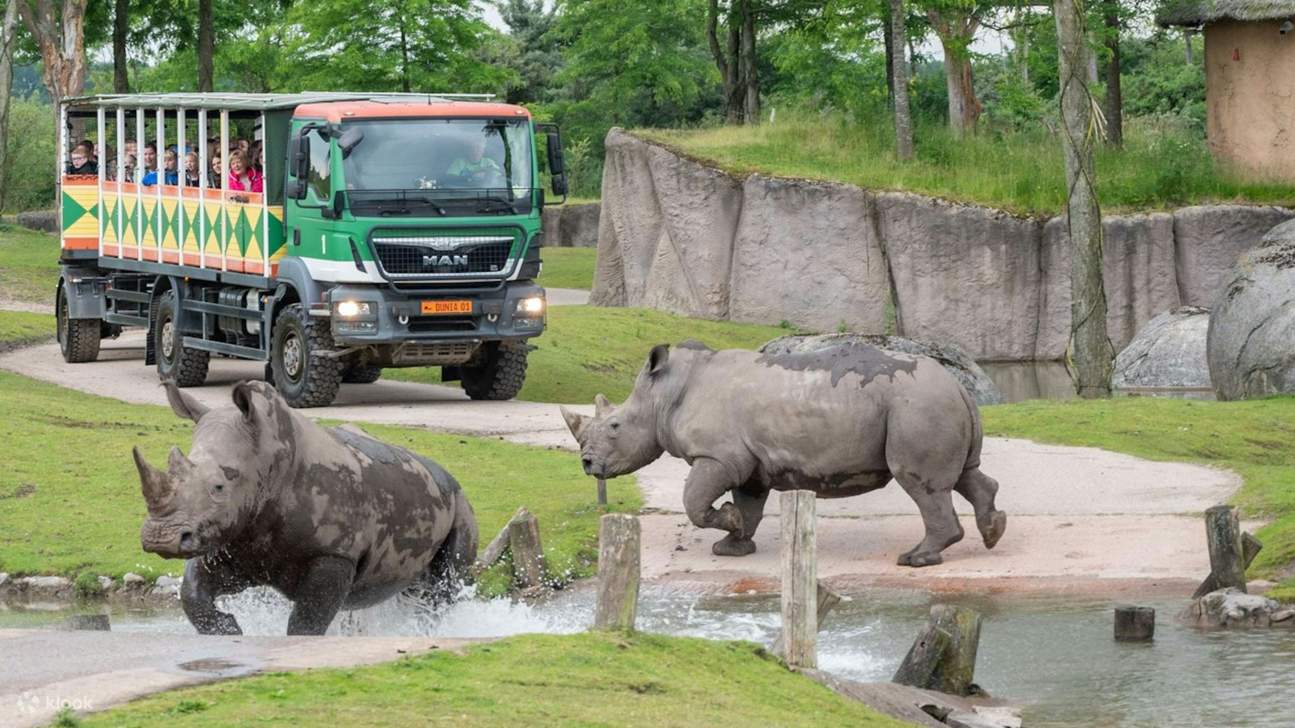 Was Kostet Das Parken Zoo Emmen Niederlande www.klook.com